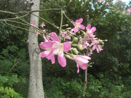 cimg0593