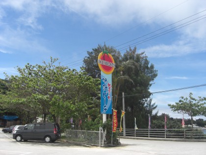cimg0731