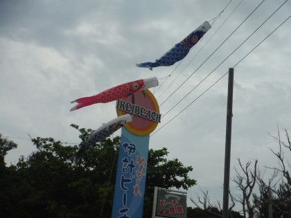 dscf9104