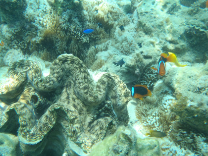 p9070752